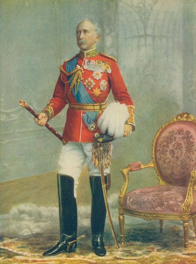 Field-Marshal Viscount Wolseley, Commander-in-Chief of the Army. In the Full Dress of a Field-Marshal by English Photographer